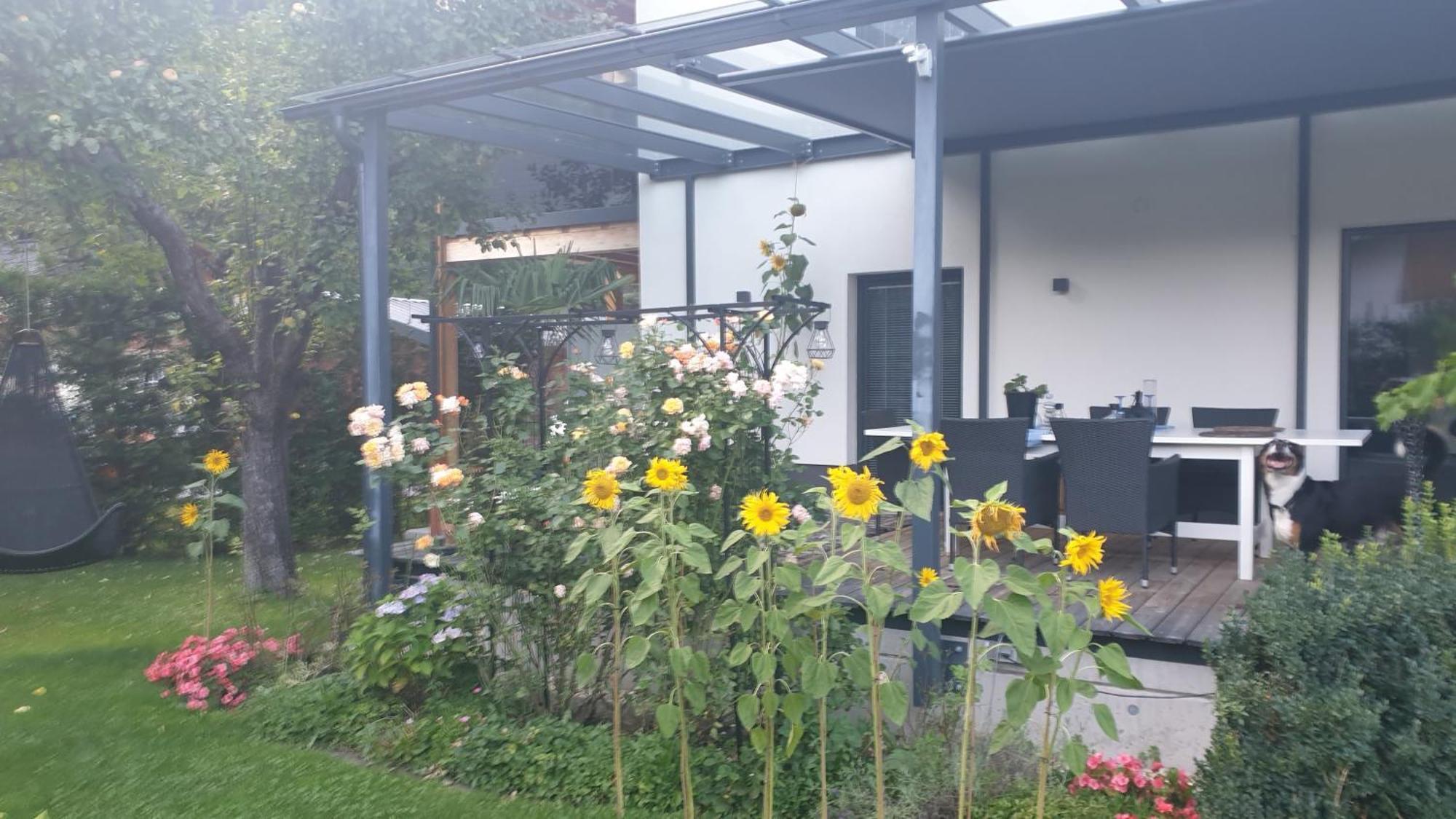 Jagd Trifft Moderne & Boutique Jardin Ferienhaus Annaberg im Lammertal Exterior photo