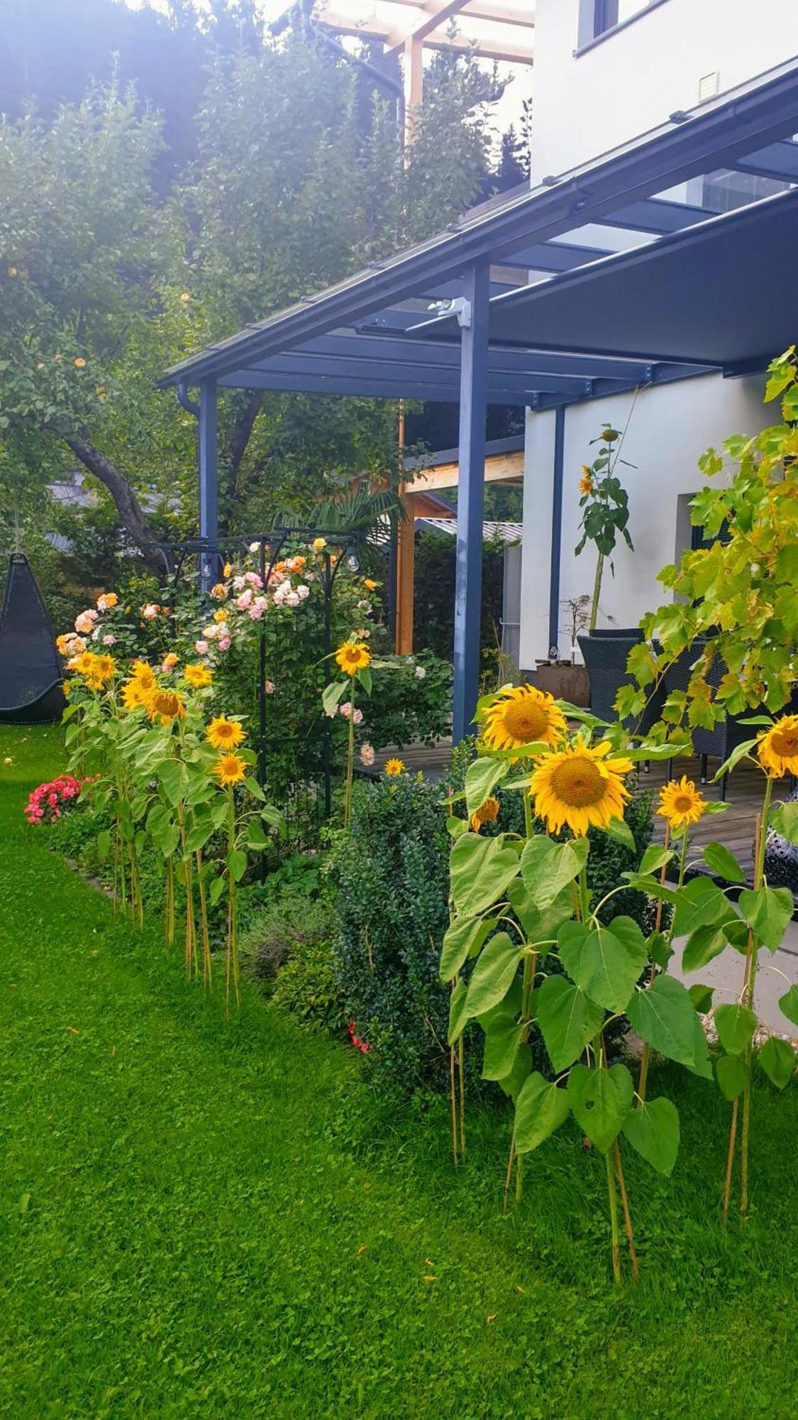 Jagd Trifft Moderne & Boutique Jardin Ferienhaus Annaberg im Lammertal Exterior photo